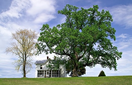 avoiding probate